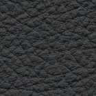 Leather black